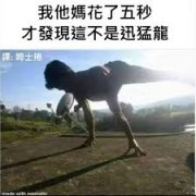 叫人火大的爆笑二货